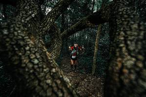 BIB: 
                            <button type="button" onclick="openModal(25684382)" class="btn btn-primary btn-sm float-right btn-popup" data-toggle="modal" data-target=".modal-high-quality">
                        <i class="fas fa-shopping-cart"></i> Add to Cart
                    </button>
                                            <button type="button" onclick="isThisMe(25684382, true)" class="btn btn-success btn-sm float-right btn-popup btn-isme hidden" data-toggle="tooltip" data-placement="bottom" title="นี่คือรูปของคุณใช่ไหม คลิกที่นี่เพื่อเอาเข้าอัลบั้ม">
                        <i class="fas fa-plus"></i> Add to album
                    </button>
                    <button type="button" onclick="isThisMe(25684382, false)" class="btn btn-warning btn-sm float-right btn-popup btn-isnotme hidden">
                        <i class="fas fa-ban"></i> Remove from album
                    </button>